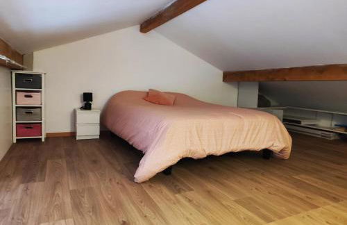 Studio Garden Parking Airport Eurexpo Groupama Stadium - Foto 2