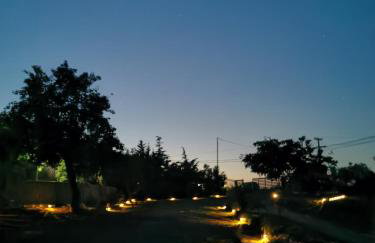 Platan Paradise - Foto 34