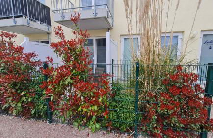 Ferienwohnung Ostsee Graal-Müritz Küstenwald - Foto 18