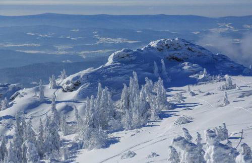 Ferienwohnungen Woidzauber - Foto 35