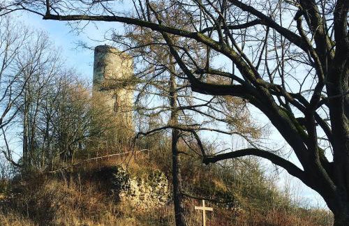 Ferienwohnungen Lausbuben & Zicken - im grünen Herzen Deutschlands - Foto 40