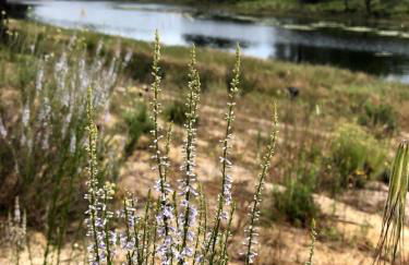 Herdade de Montalvo - Comporta - Foto 46