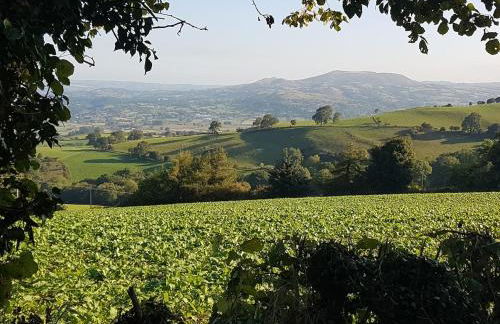 Character cottage with spectacular views - Foto 8