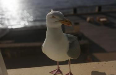 Appartement Cosy - Foto 6