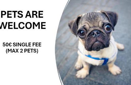 28 Casa do Avô - 2Km from the beach - Foto 21