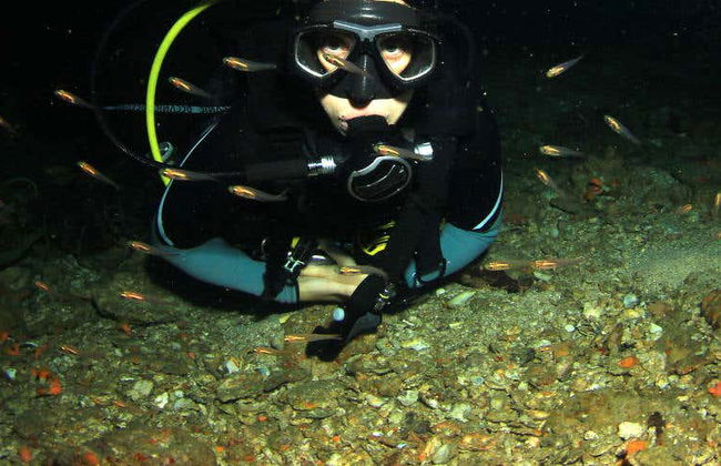 Plongée de nuit à Malapascua - Photo 6