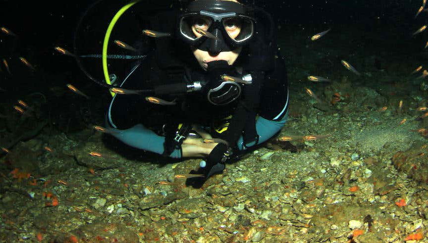 Malapascua Night Diving