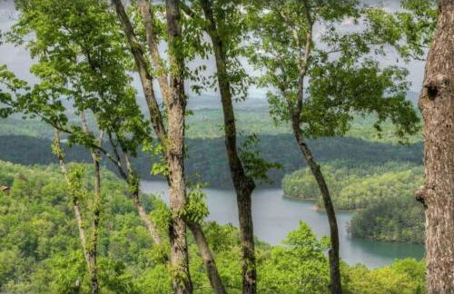 Sky High Lodge - Blue Ridge - Foto 37