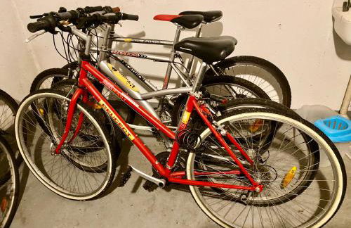 Le Grasberg - Foto 11