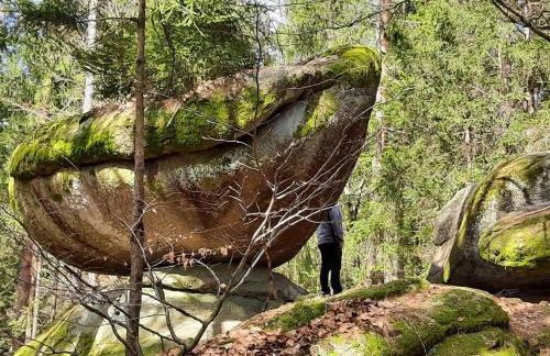 Blockhaus am Baumwipfelpfad - Foto 65