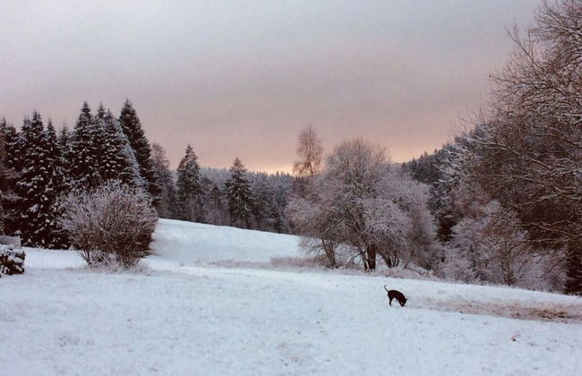 Holiday Home Harzhaus Time out - Photo 19