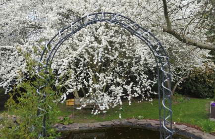 Harzer Auszeit - Foto 18