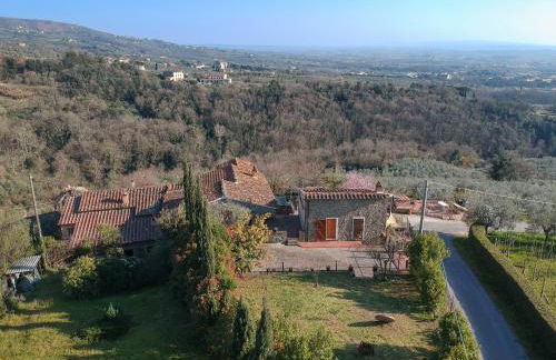 Antica Tinaia - Foto 18