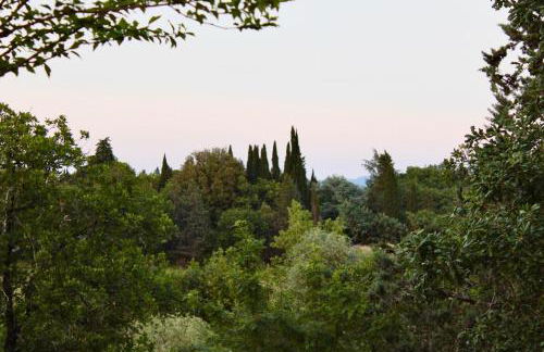 B&B Terre Toscane - Foto 27