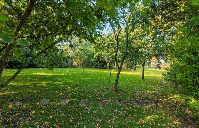 Holiday Home in Wijnaldum Near Harlingen Harbor - Foto 28