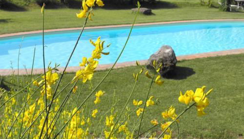 Appartamento Rustico, Wifi, Perugia - Foto 2, Garden