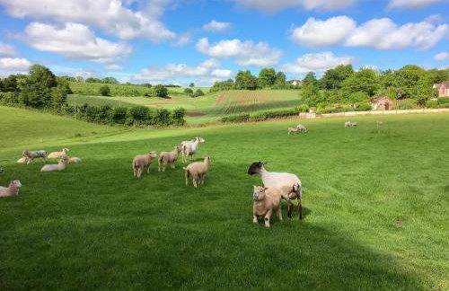 Coachmans Close - Foto 27