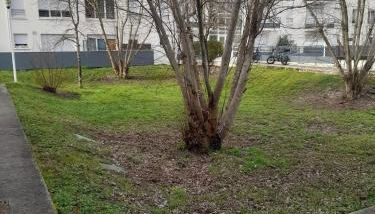 Douceur et cocooning direct aéroport et Arkea Arena - Foto 3