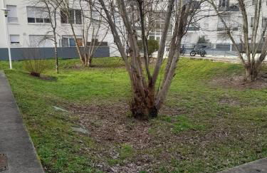 Douceur et cocooning direct aéroport et Arkea Arena - Foto 3