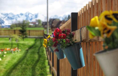 Domek Folkowa Chata - Foto 51