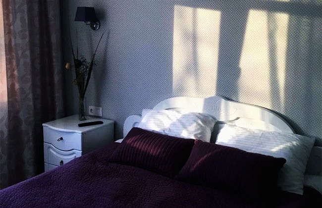 ApartHotel Elagin - Foto 25