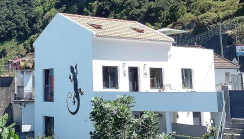 Lazy Lizard by the Ocean - Foto 2