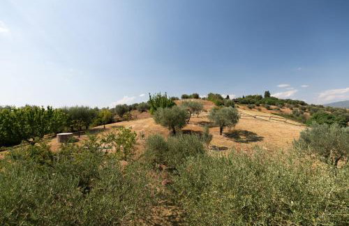 Tenuta Colle Sala The Villa - Photo 32