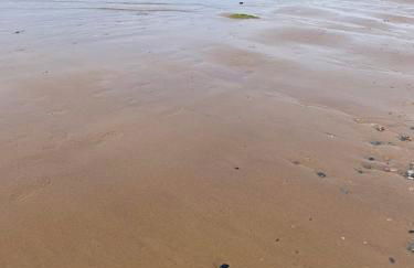 19 Forest Views - Foto 33