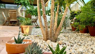 LUX Apartments - Foto 2, Garden