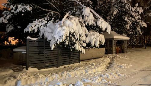 Apartamenty Pasternik 7 - Foto 5