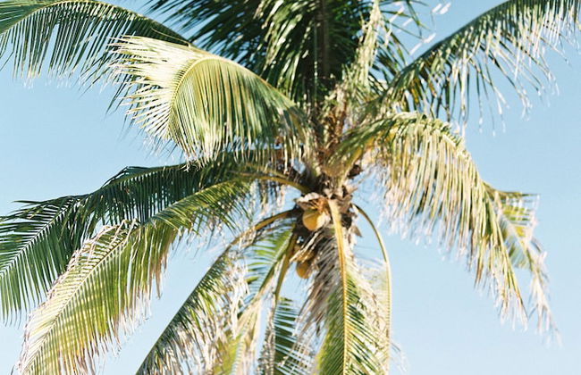 Northwest Point Resort - Foto 57