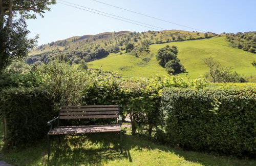 Dolgenau Hir - The Barn - Foto 19