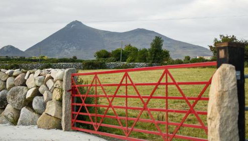 Wee Henry's Barn - Foto 3