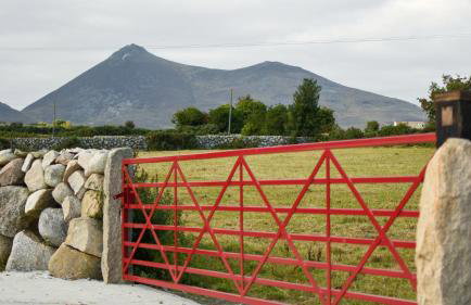Wee Henry's Barn - Photo 3