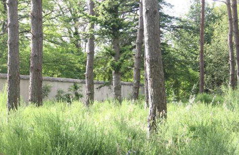 Le refuge de Chambord - Photo 27