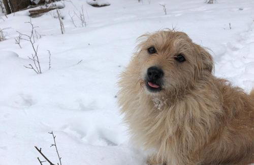 Uroczysko Deresze - Foto 80