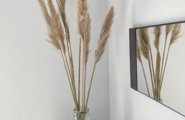 Appartement T3 PLUME Hyper centre d'ERNÉE - Foto 15