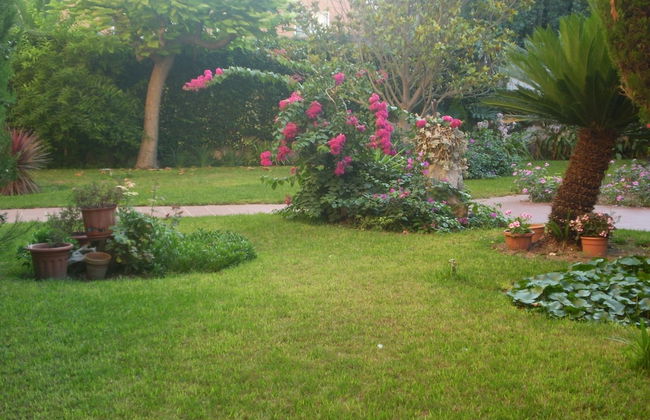 Apartamentos El Oasis - Foto 26