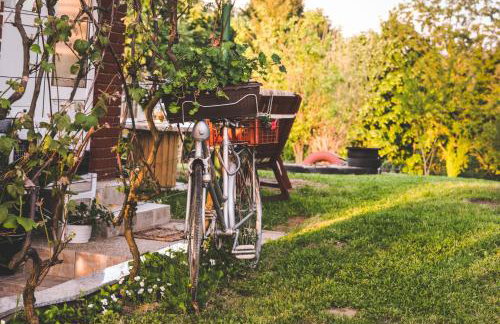 Ruralna kuća za odmor LOVRAK - Foto 8