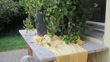 Haus Sonnenblick - Foto 4