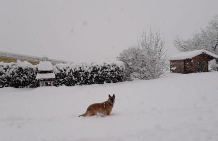 Appartamenti DOLOMITI - Foto 37