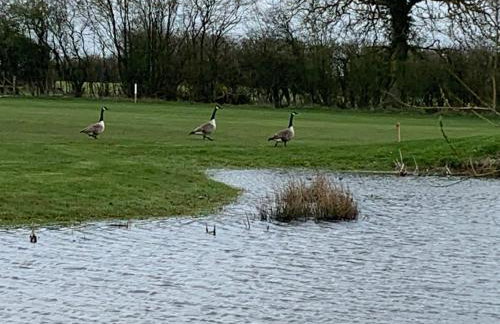 Silverstone Golf Club And Hotel - Foto 35