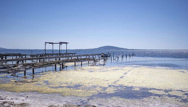 Views of Étang de Thau