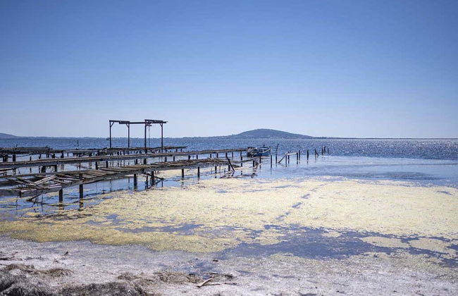 Tour de vinhos e ostras - Foto 4