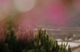 Herdade d' Amoreira Lavanda Villa - Foto 61