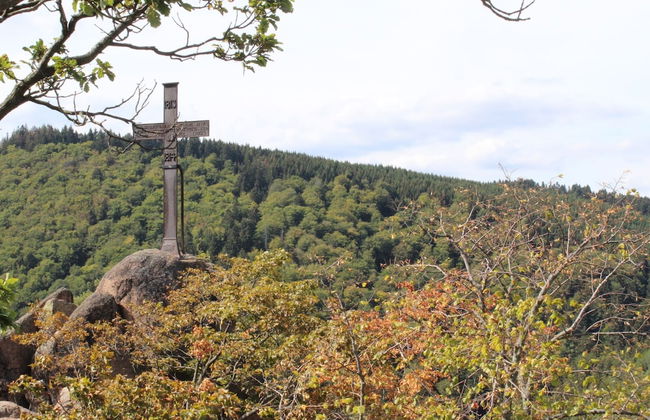Classic Holiday Home in Harz near Braunlage Ski Area - Foto 16