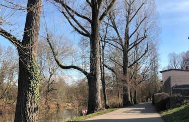 Neues schönes Studio, zentral & direkt an der Rems - Foto 8