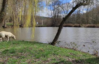 Hof Eckens - Ferienhaushaus Marie in Wildeck Bosserode - Foto 13