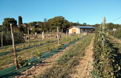 Agriturismo Borgo Santa Maria - Foto 64