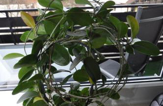 Ferienwohnung-in-Prien - Foto 9